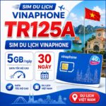 Sim du lịch Vinaphone TR125A 5GB/ngày dùng 30 ngày - ảnh 2