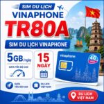 Sim du lịch Vinaphone TR80A 5GB/ngày dùng 15 ngày - ảnh 2